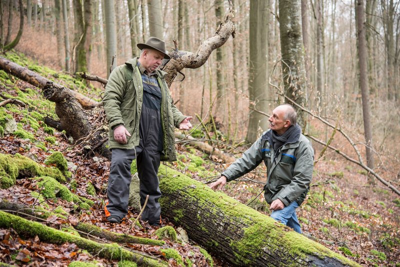 Zwei ältere Männer stehen neben einem starken Totholzstamm im Wald