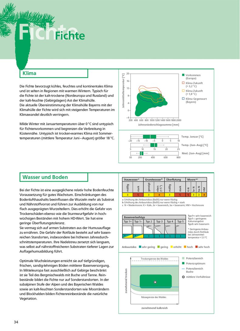 Praxishilfe Für Baumartenwahl Im Klimawandel