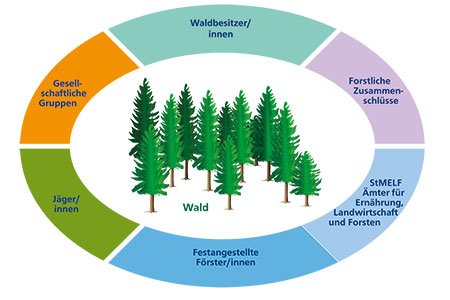 Waldumbau - Vom Wissen Zum Handeln - Waldwissen.net