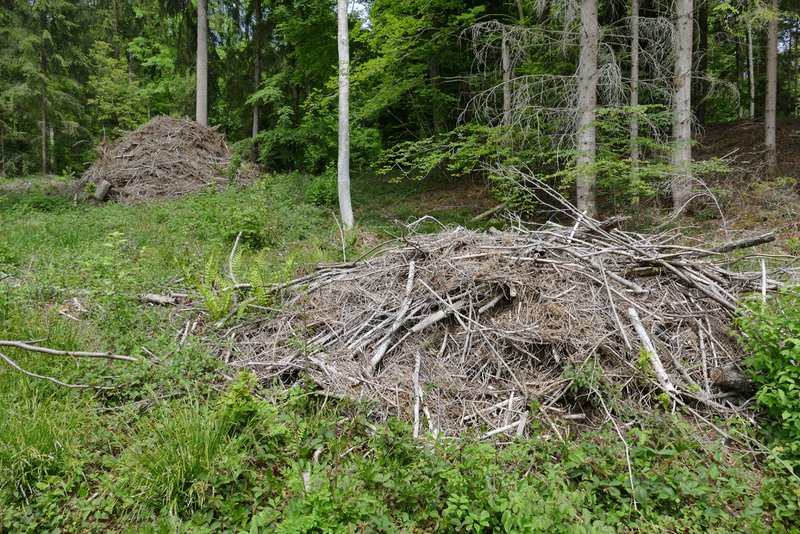 Asthaufen anstatt verbrennen Asthaufen anstatt verbrennen