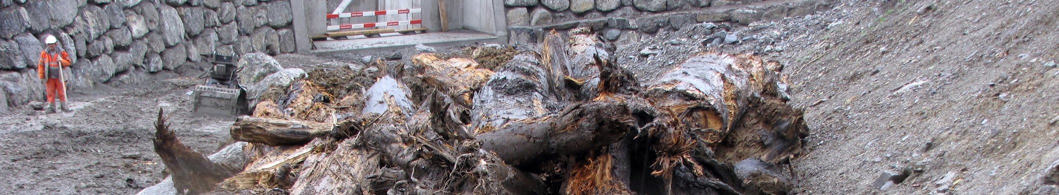 Wenn Sie Baumstämme im Boden entdecken: bitte melden! Wenn Sie Baumstämme im Boden entdecken: bitte melden!
