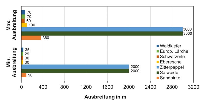 Verbreitung Pionierbaumarten in m