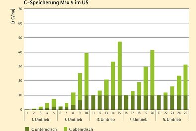 Grafik mit 3 Erntezyklen, die ansteigen und bei Ernte abfallen