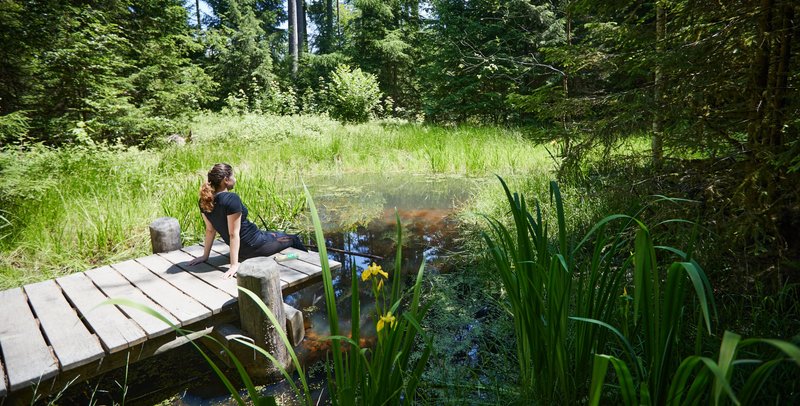 Woman sitting on a wooden pier by a forest pond