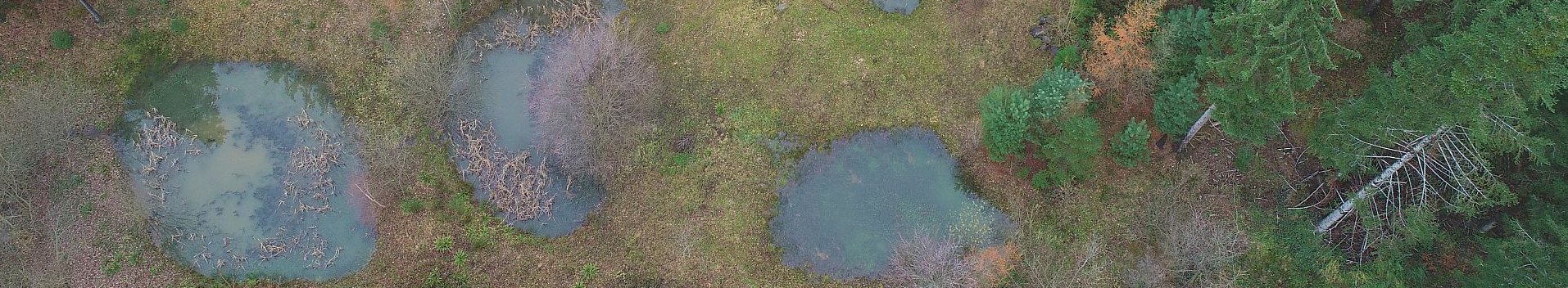 Wasser – nicht genug und manchmal zu viel