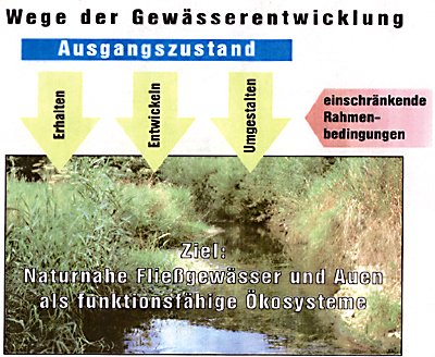 Gewässerentwicklung erhalten, entwickeln, umgestalten