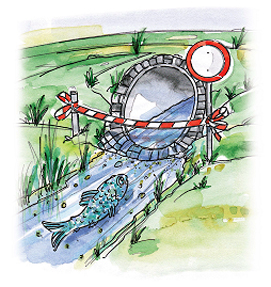 Ökologische Durchgängigkeit