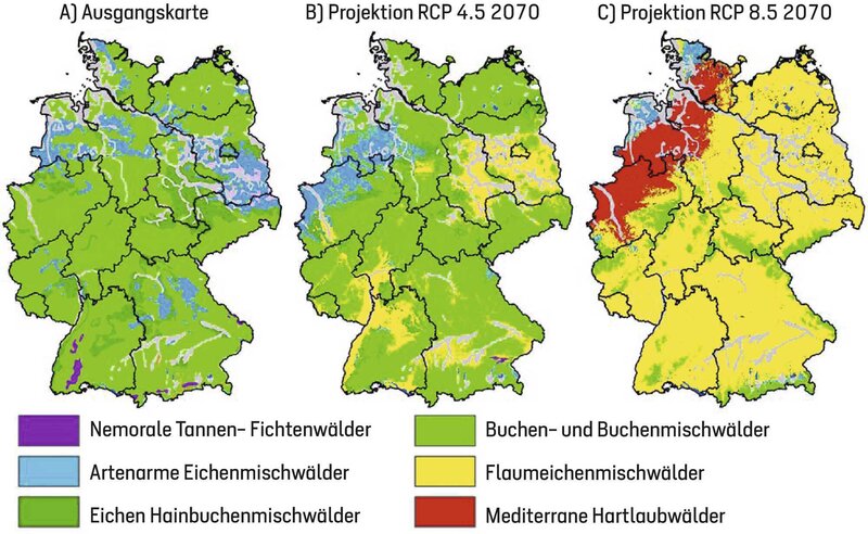 Deutschlandkarte der Potenziellen Natürlichen Vegetation