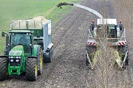 Feldhäcksler fährt und erntet auf einem Feld