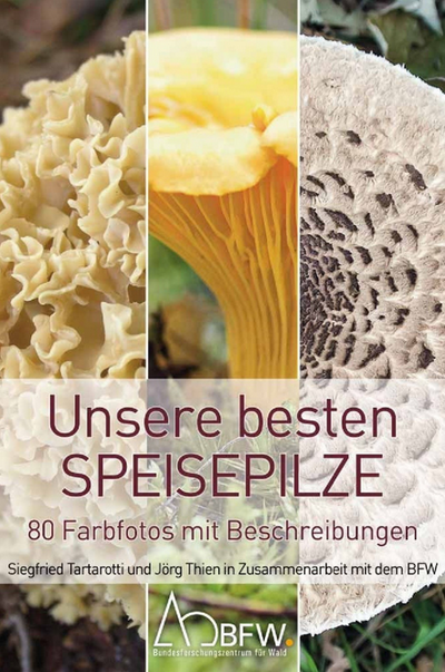 Titelseite des Speisepilzfächers