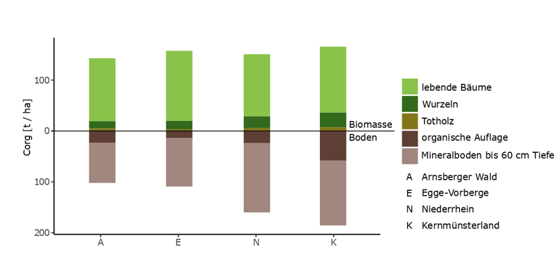 Kohlenstoffvorräte in Biomasse und Boden