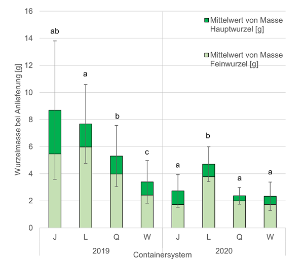 Containersysteme Wurzelmasse