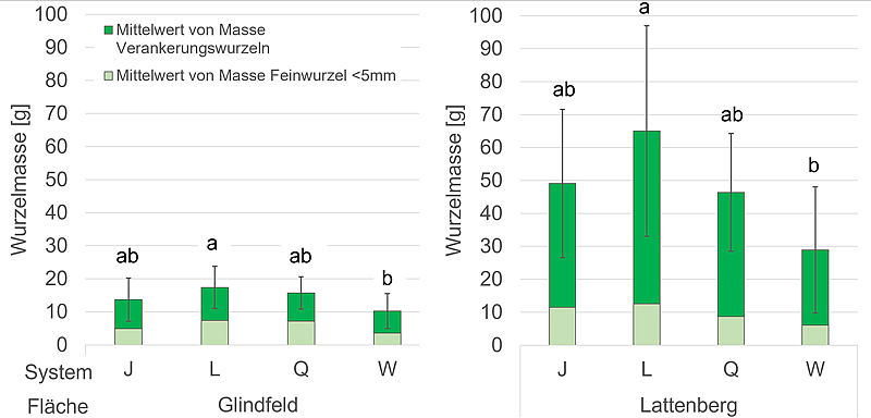 Wurzelmassen nach zweijährigem Wachstum