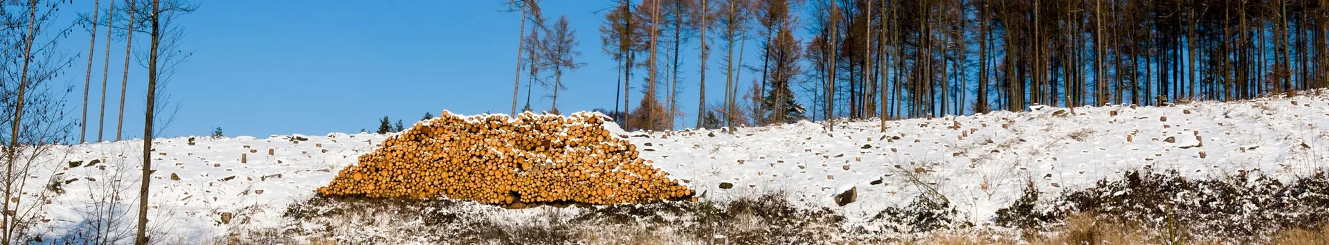 Holzpolter in einer Schneelandschaft