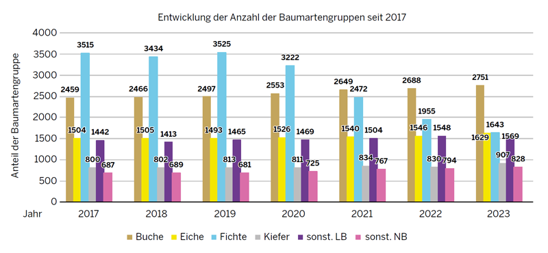 Entwicklung der Baumartengruppen